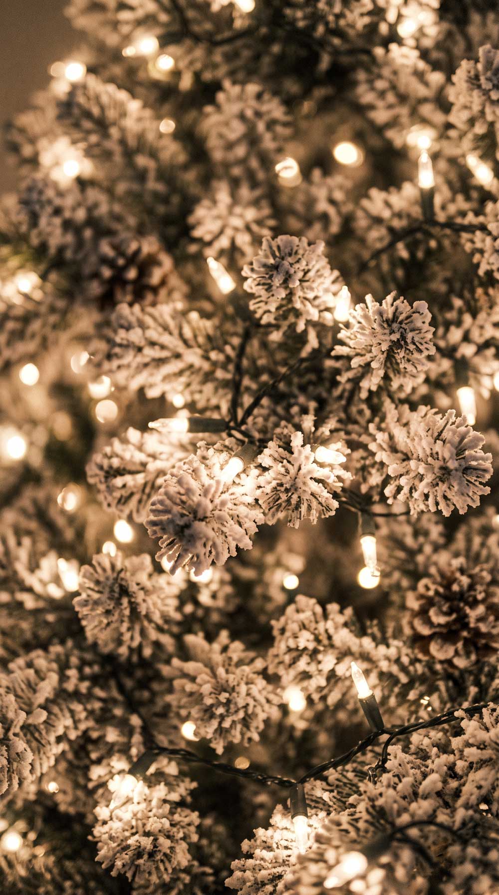 The Tintagel — 8ft Pre-Lit Frosted Pine